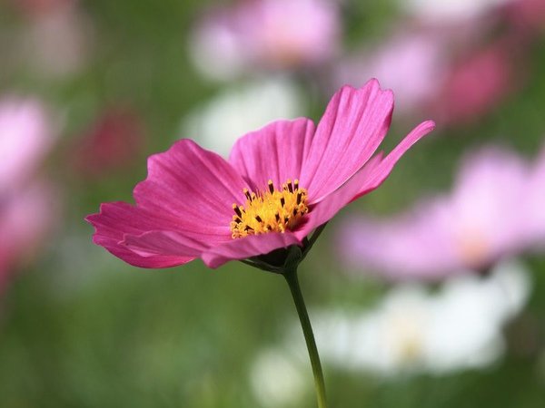 IMG_8982.jpg