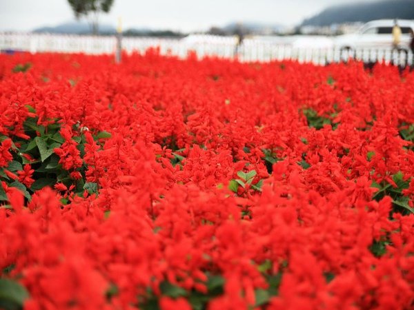 IMG_4884.jpg