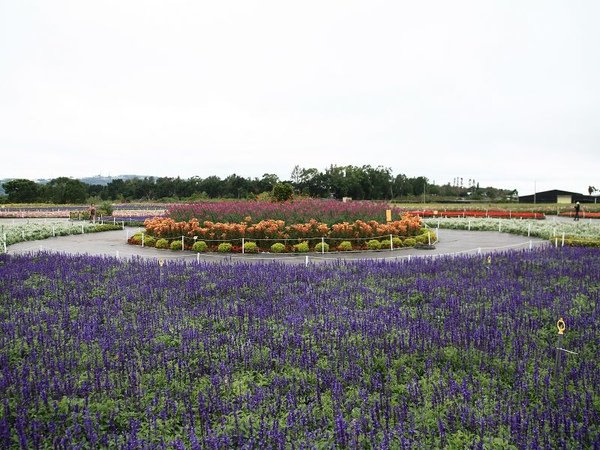 IMG_5009.jpg
