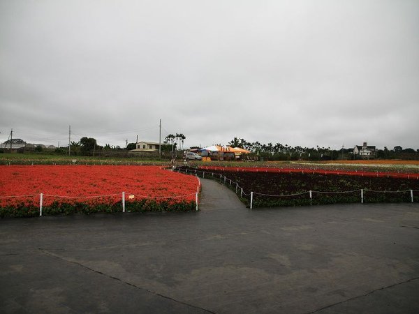 IMG_5018.jpg