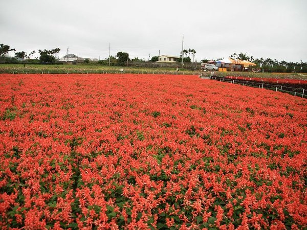 IMG_5022.jpg