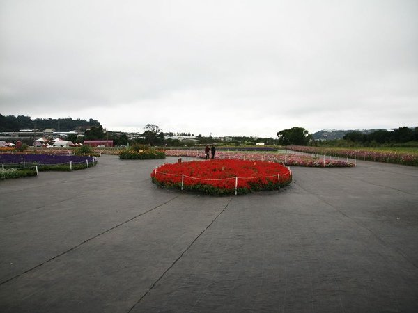 IMG_5040.jpg