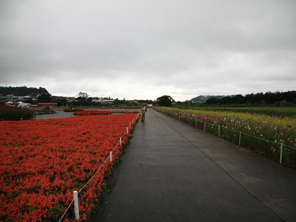 IMG_5054.jpg