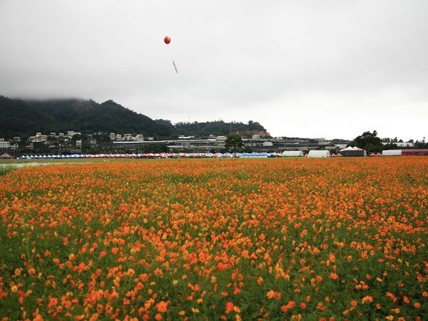 IMG_5087.jpg