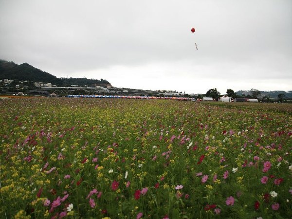 IMG_5167.jpg