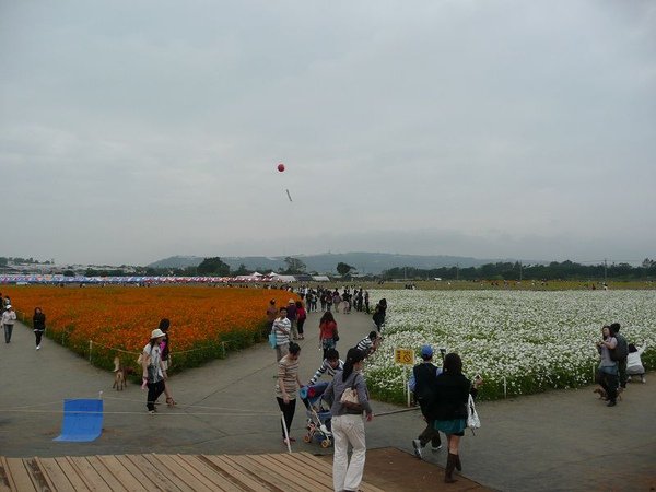 P1380950.jpg