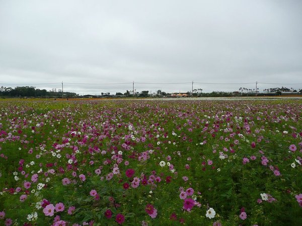P1390005.jpg
