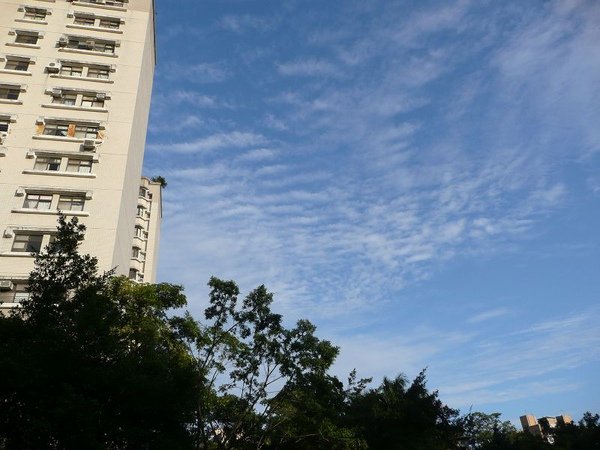 P1390893.jpg
