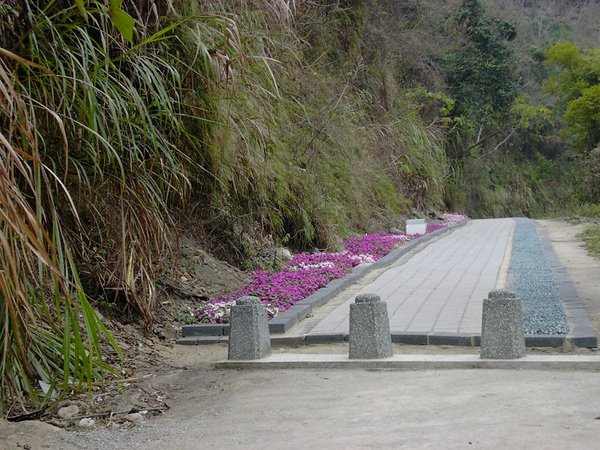 PICT0663.jpg
