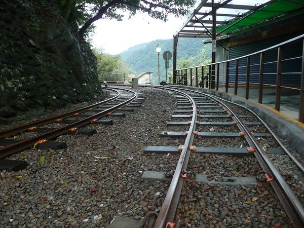 P1300871.jpg