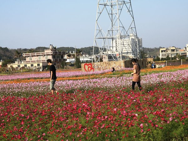 IMG_2698.jpg
