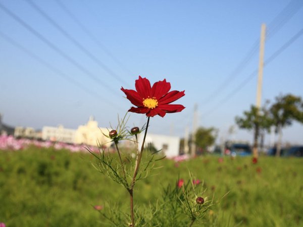 IMG_2720.jpg