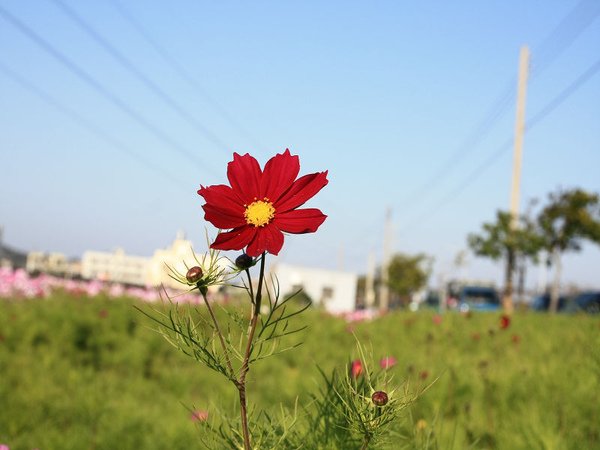 IMG_2721.jpg