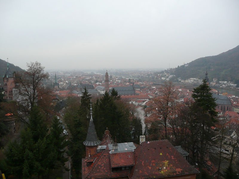 P1110259.jpg