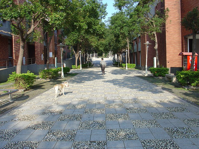 DSC04757.jpg