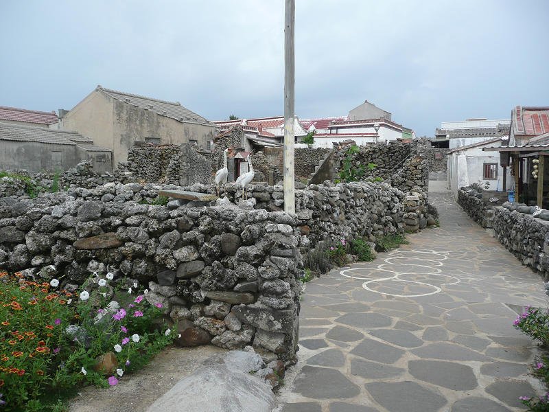 P1460154.jpg