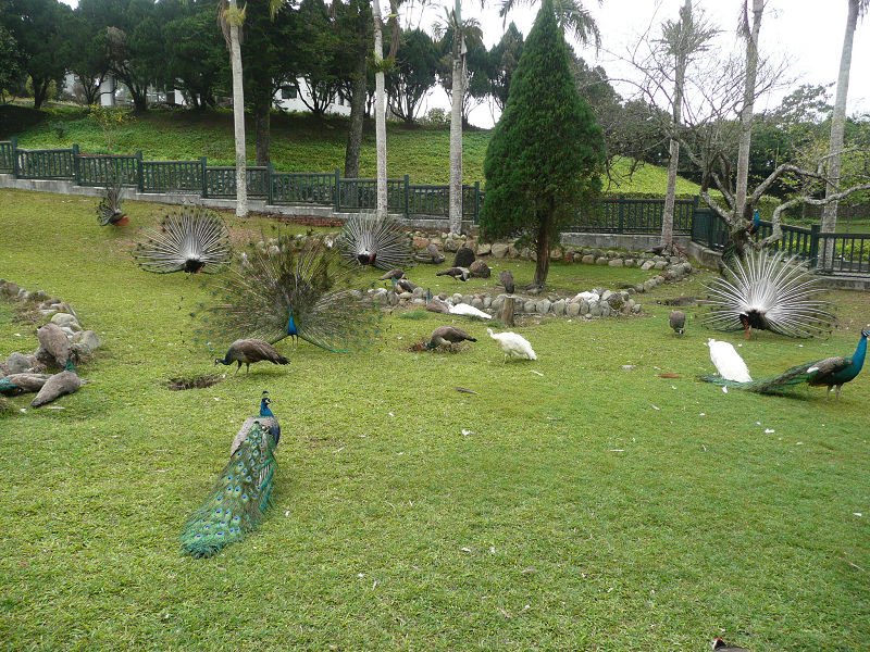 P1540248.jpg