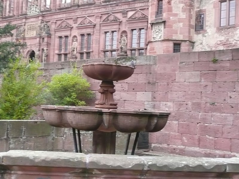 P1110218.jpg