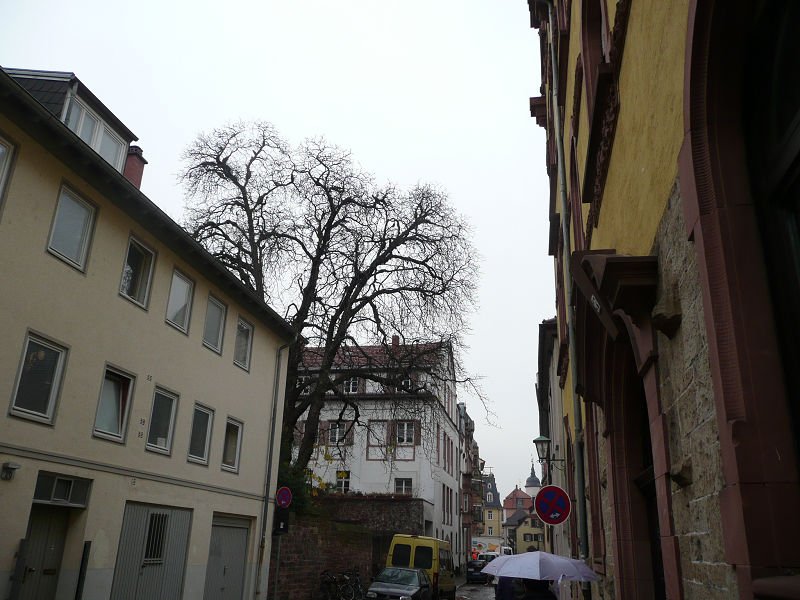 P1110302.jpg