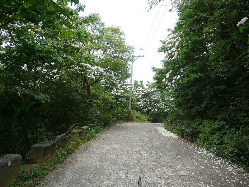 P1560528.jpg