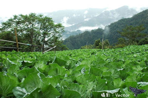 8-1-3栗松溫泉.jpg