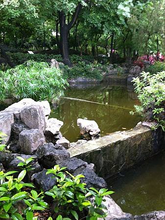 IMG_6120.JPG