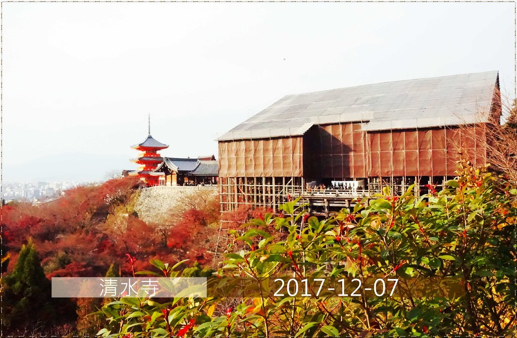 【日本。京都自駕】※景點※ 清水寺半日遊 (清水寺+清水坂+