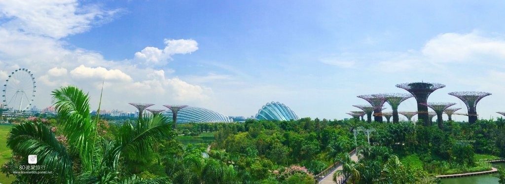 42_garden by the bay (2)_副本_mh1593181982750_compress99.jpg