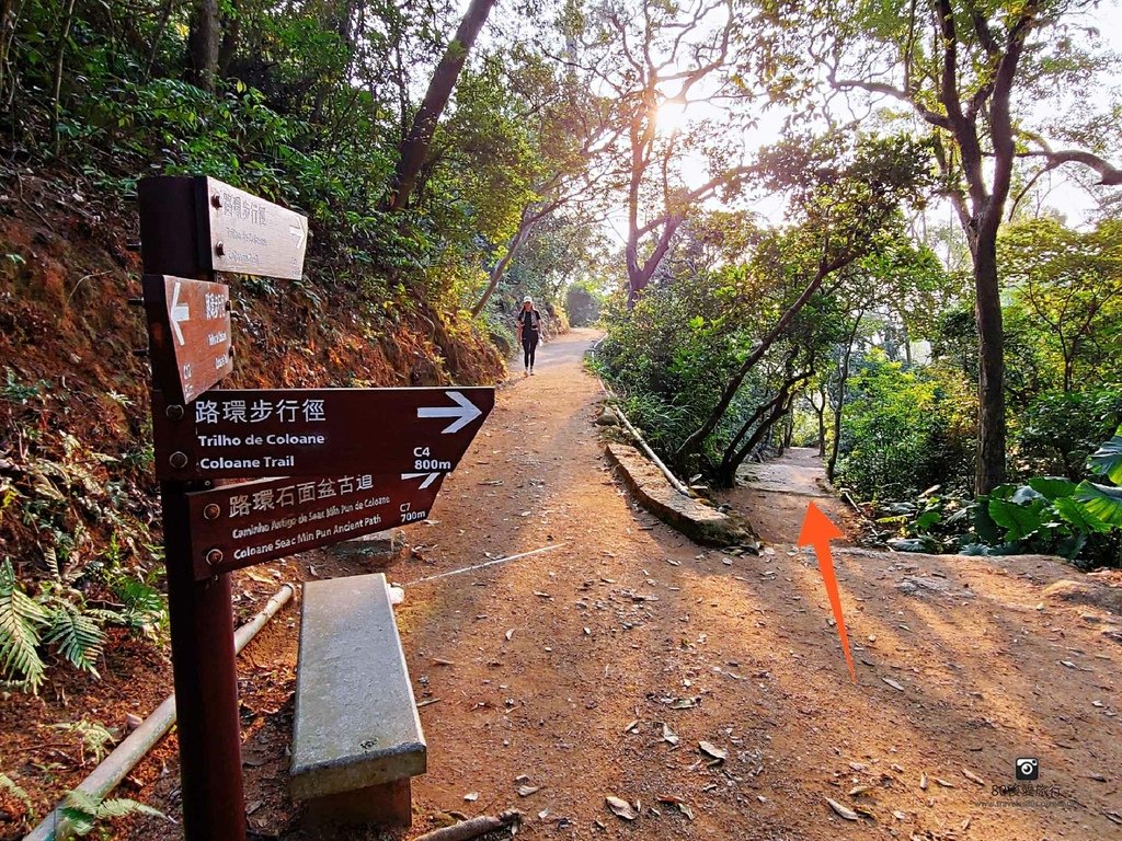 石面盆古道 (12).jpg