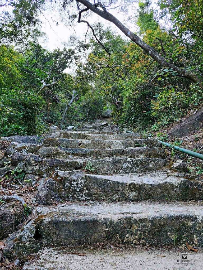 石面盆古道 (8).jpg