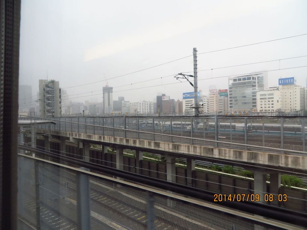 IMG_7815.jpg