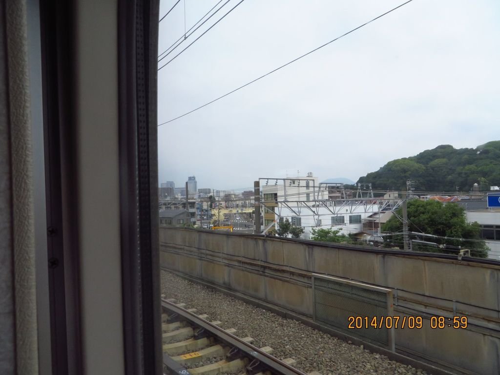 IMG_7832.jpg