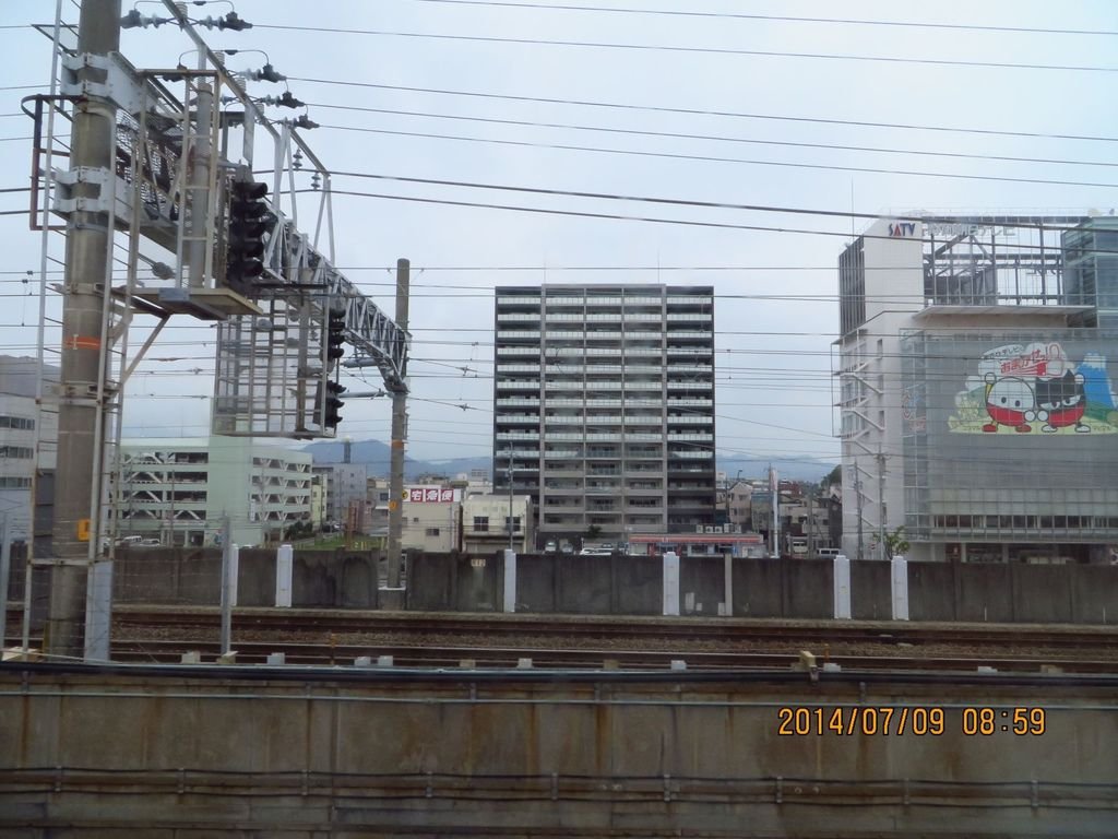 IMG_7833.jpg