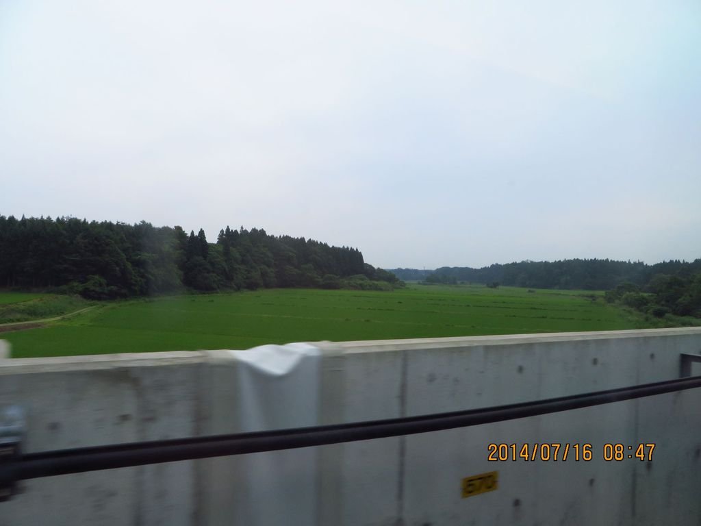IMG_9924.jpg