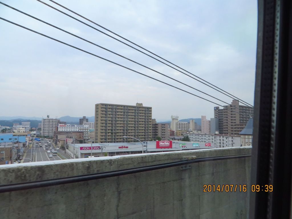 IMG_9958.jpg