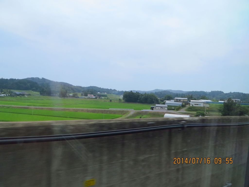 IMG_9980.jpg