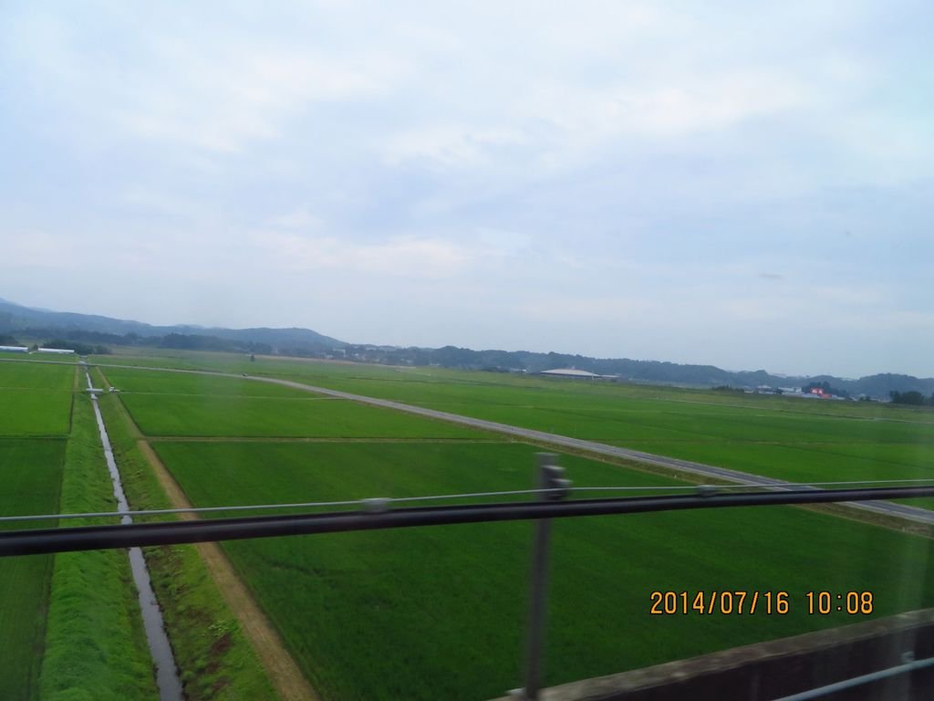 IMG_9985.jpg