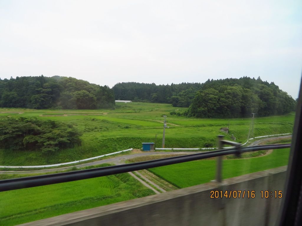 IMG_9994.jpg