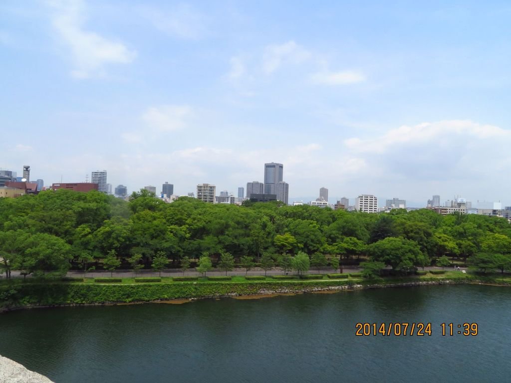 IMG_3595.jpg