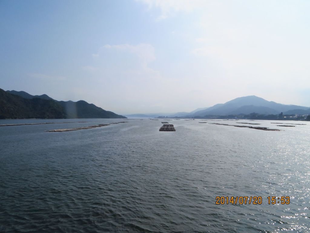 IMG_2177.jpg