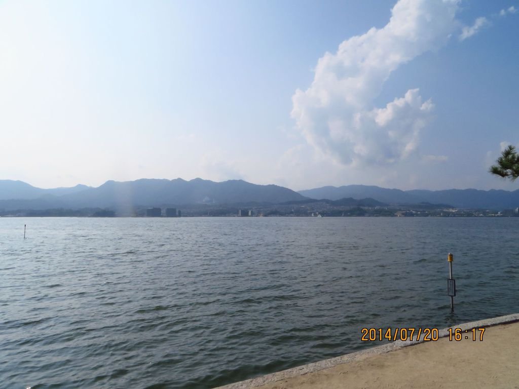 IMG_2214.jpg