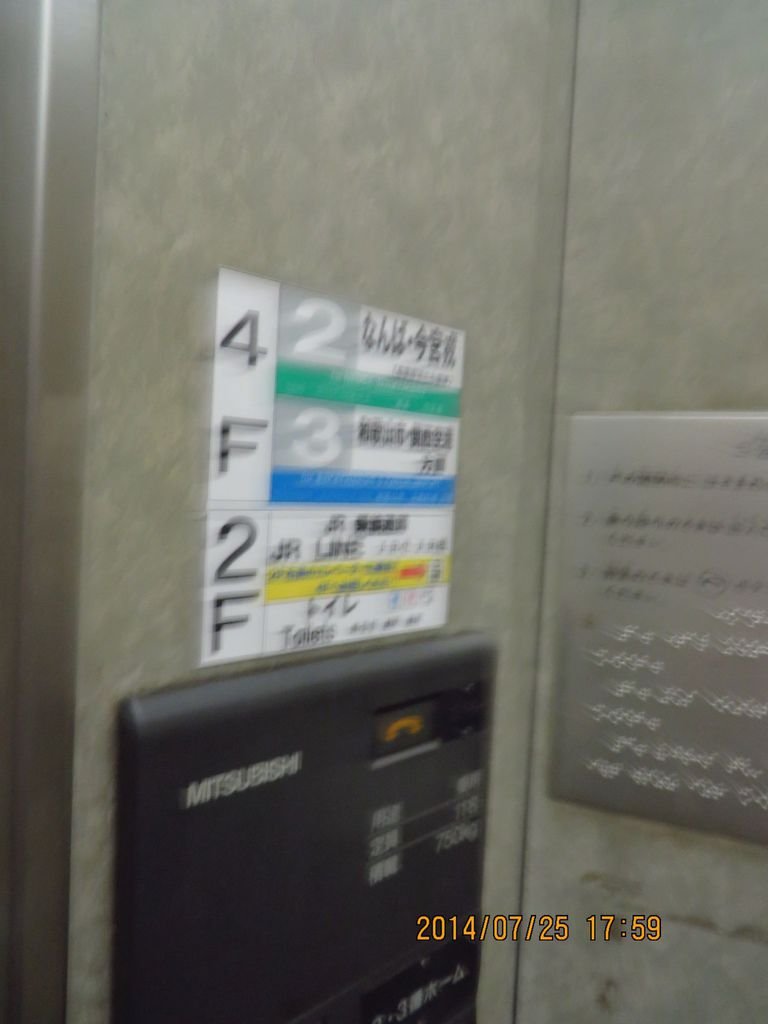 IMG_3859.jpg