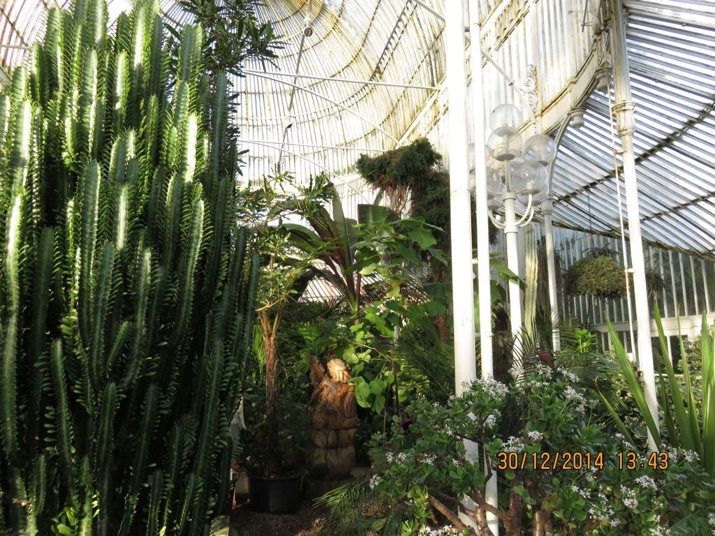 IMG_0928.jpg