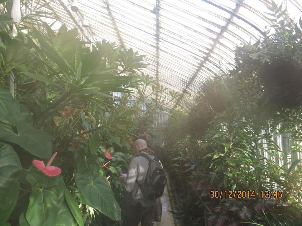 IMG_0933.jpg