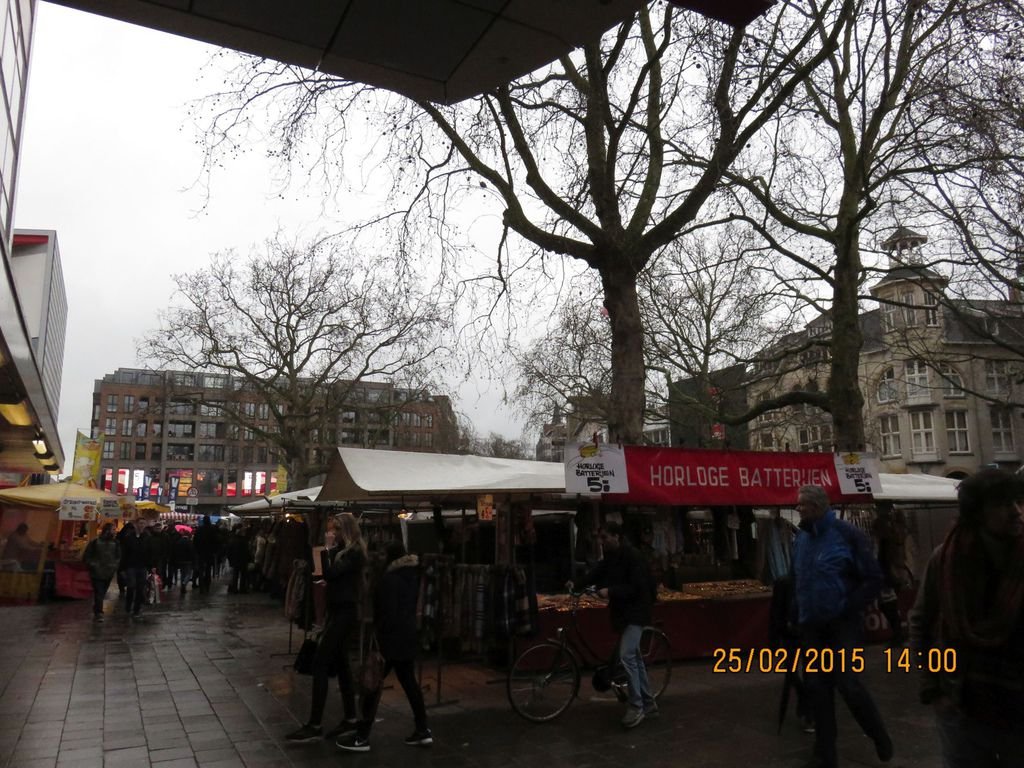 IMG_2729.jpg
