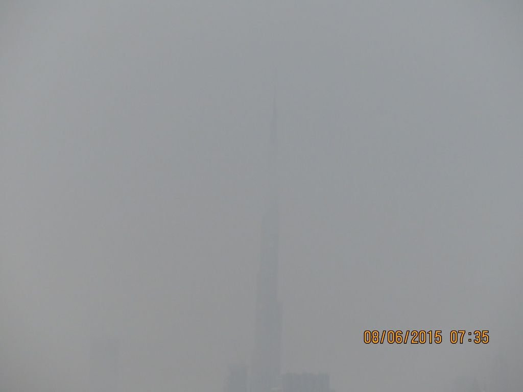 IMG_7646.jpg