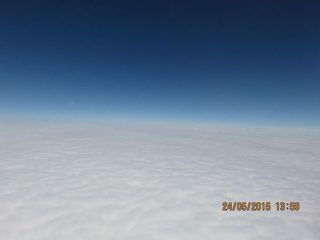IMG_4164.jpg