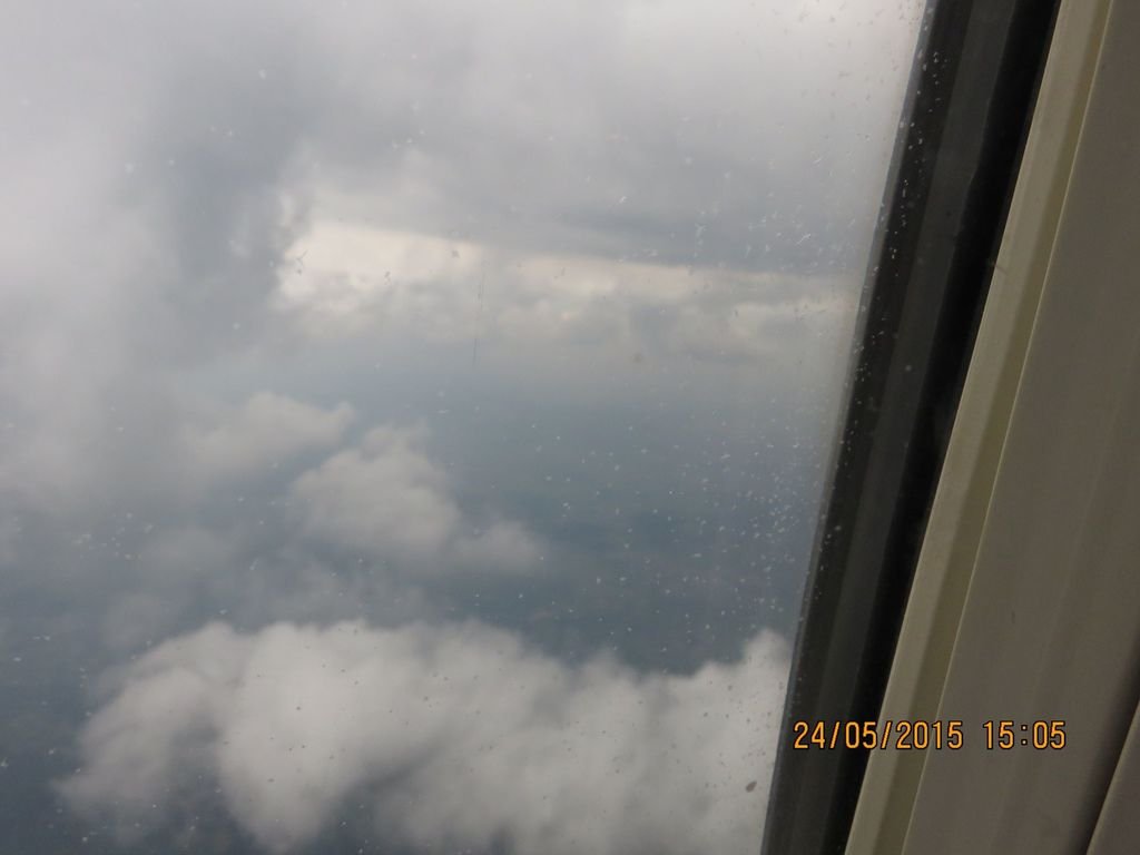IMG_4180.jpg