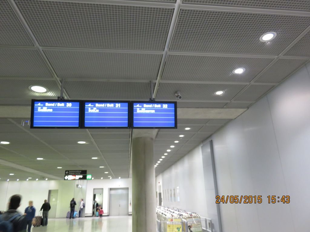 IMG_4206.jpg