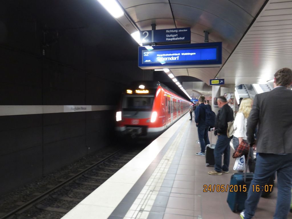 IMG_4223.jpg